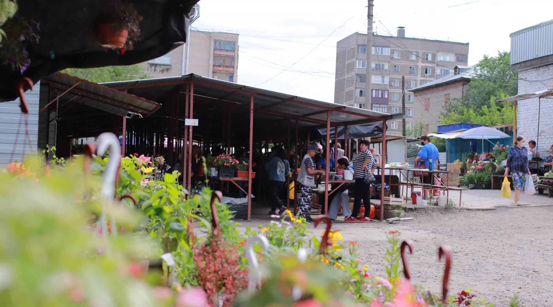 Базар, фрукты, овощи