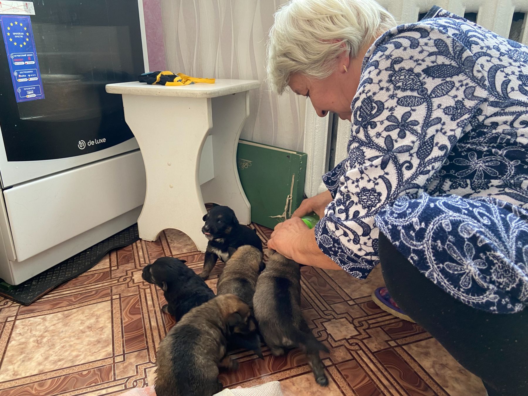 Щенки из Бийска ищут хозяев