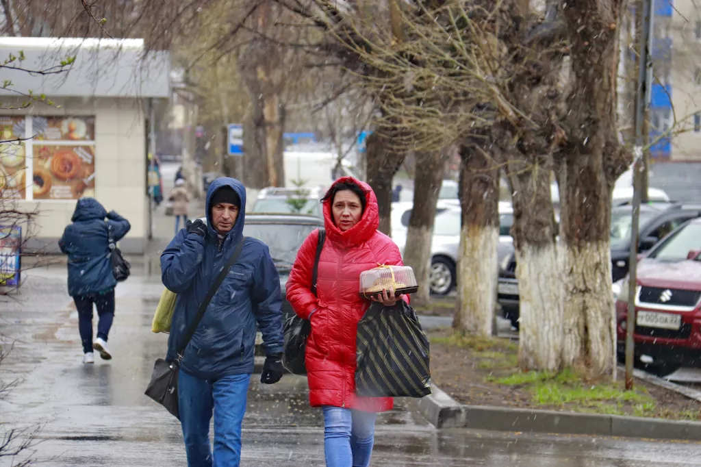 Туман и мокрый снег: какая погода будет в Алтайском крае 4 ноября - Информационный портал "Бийский рабочий", 04.11.2025