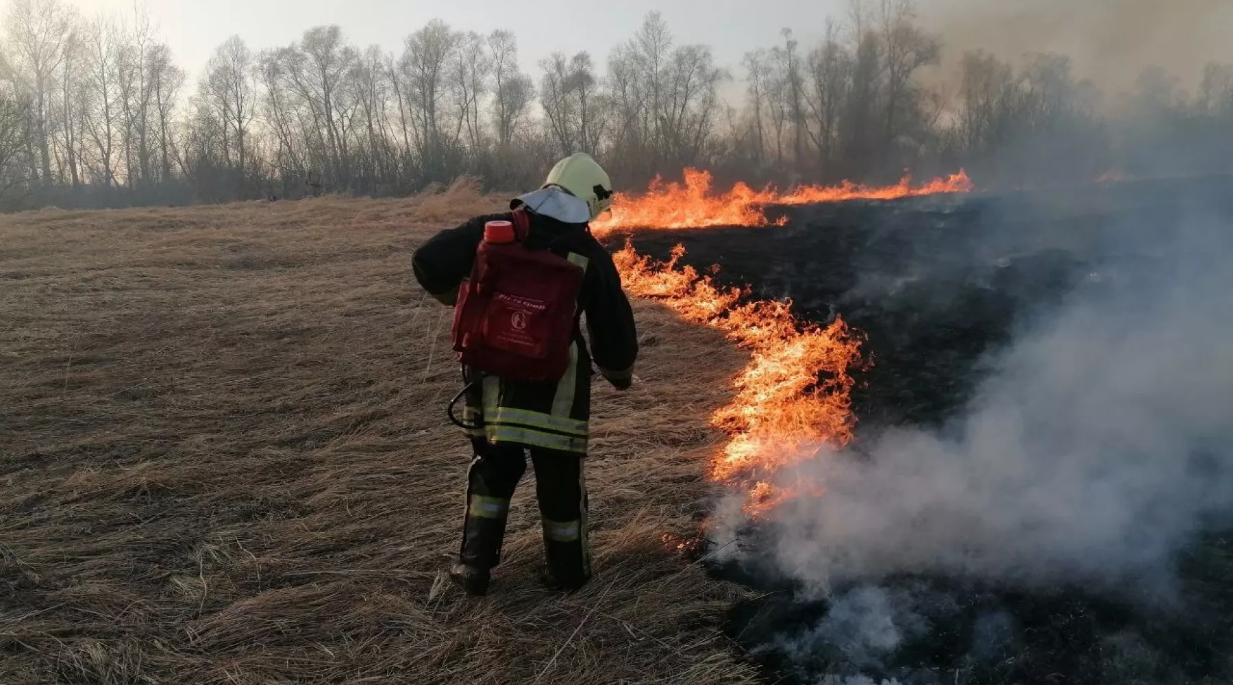 Пожар. Палы травы. Пожар в поле