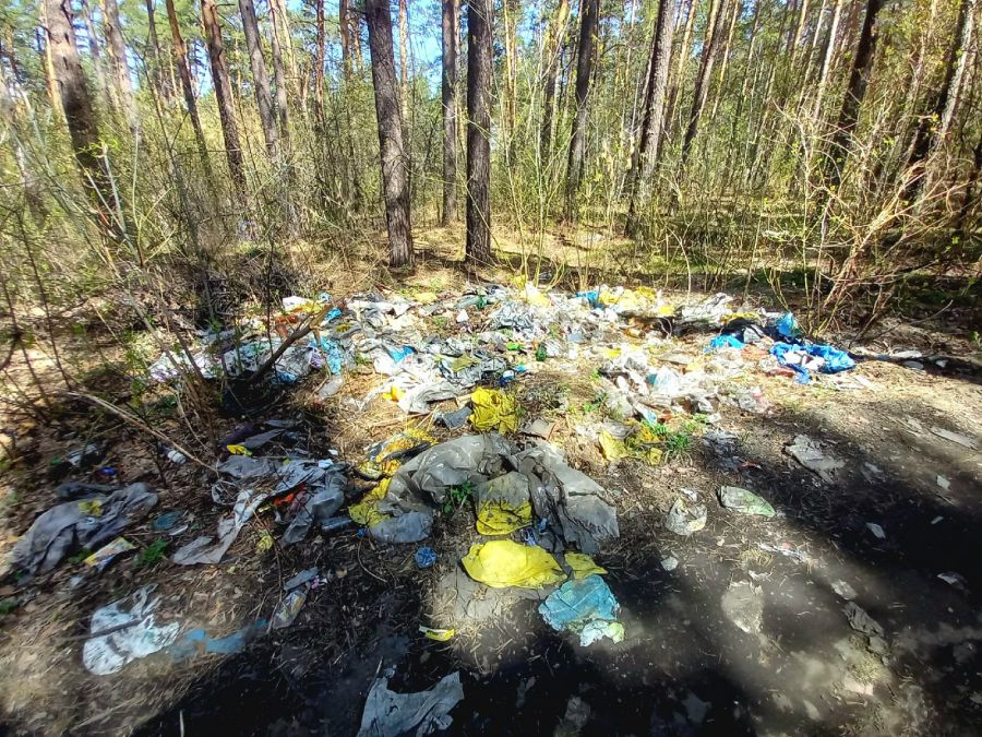 Свалка мусора в лесу