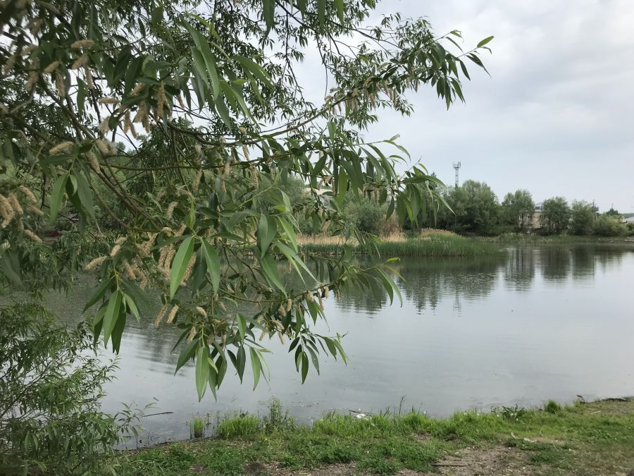 В районе озера Ковалевское отдыхают несовершеннолетние