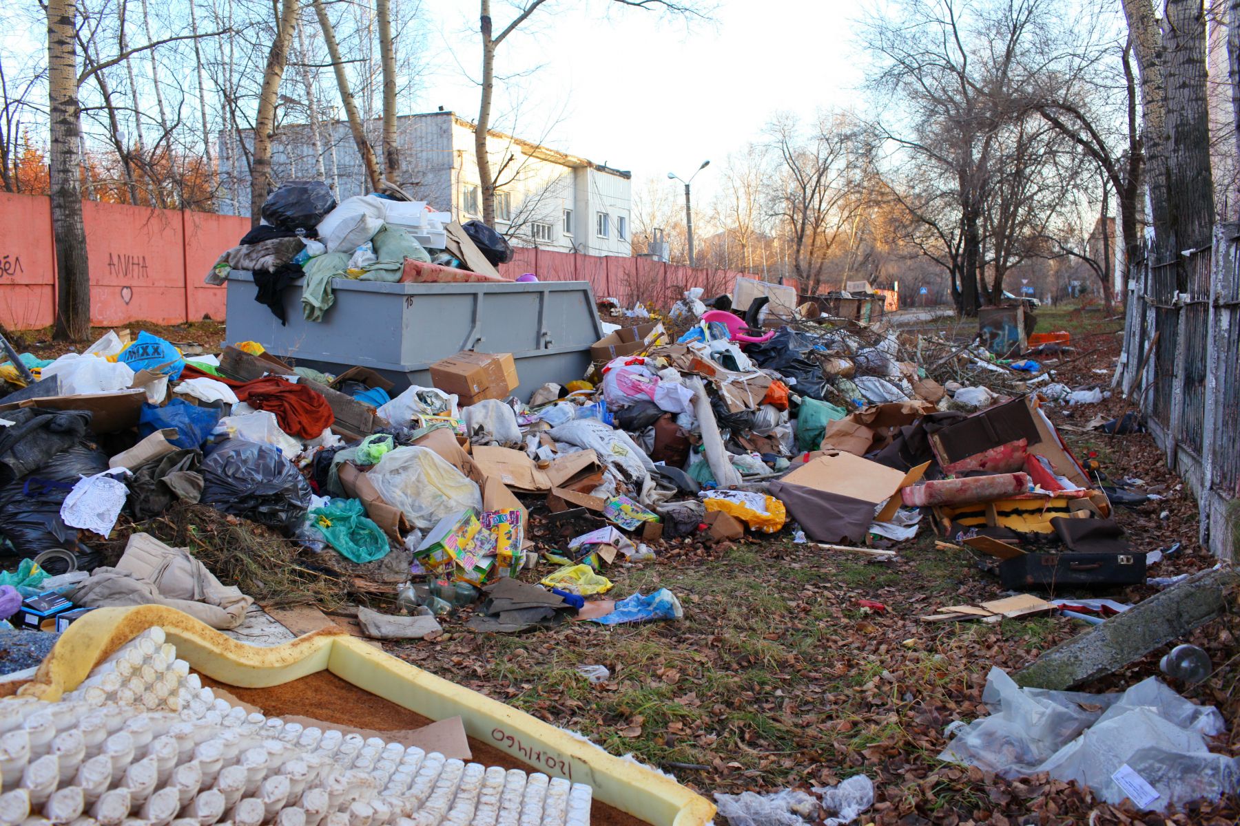 В 2019 году в Бийске объявили ЧС из-за невывезенного мусора.