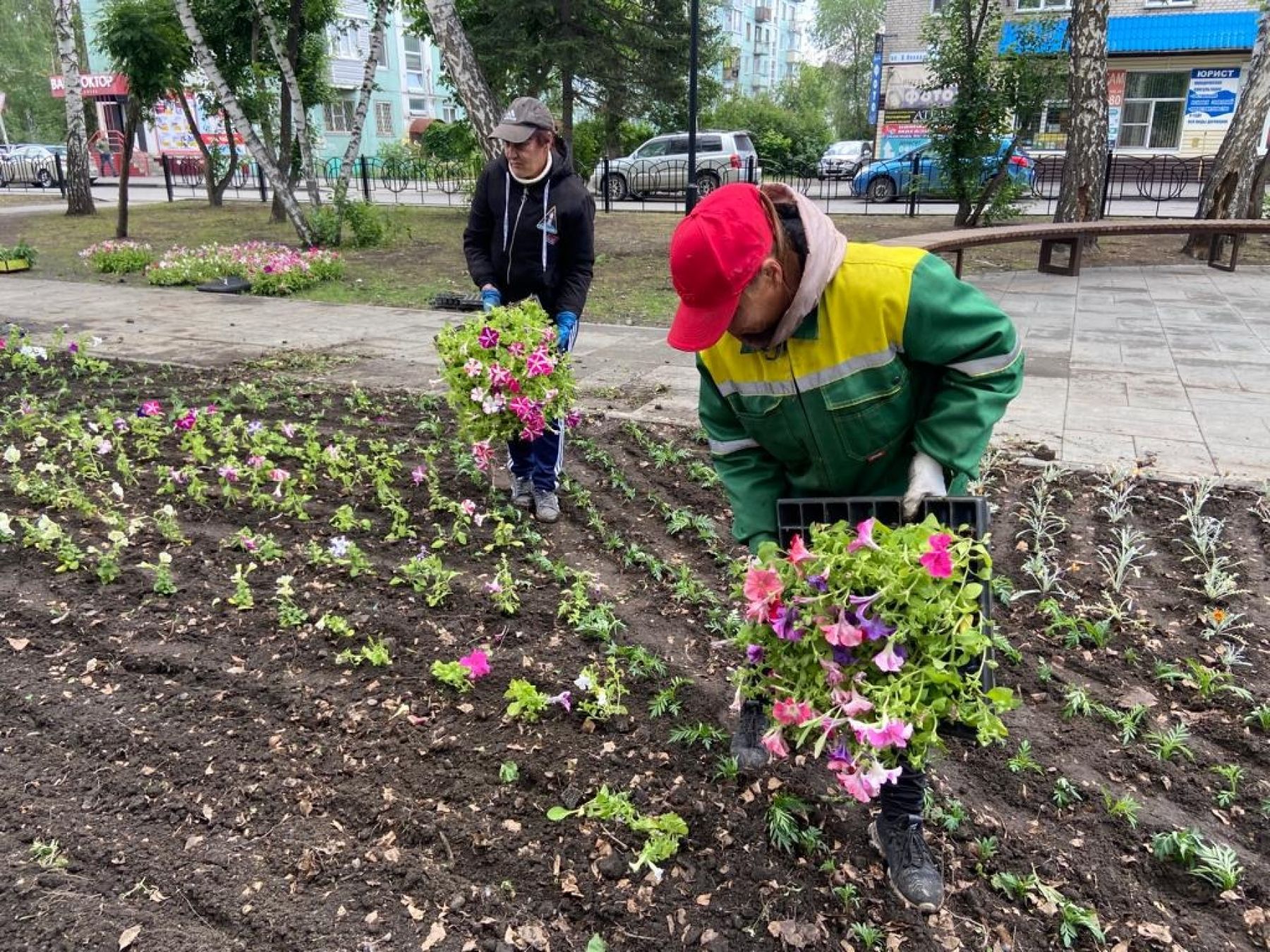 Высадка цветов на площади 9 Января