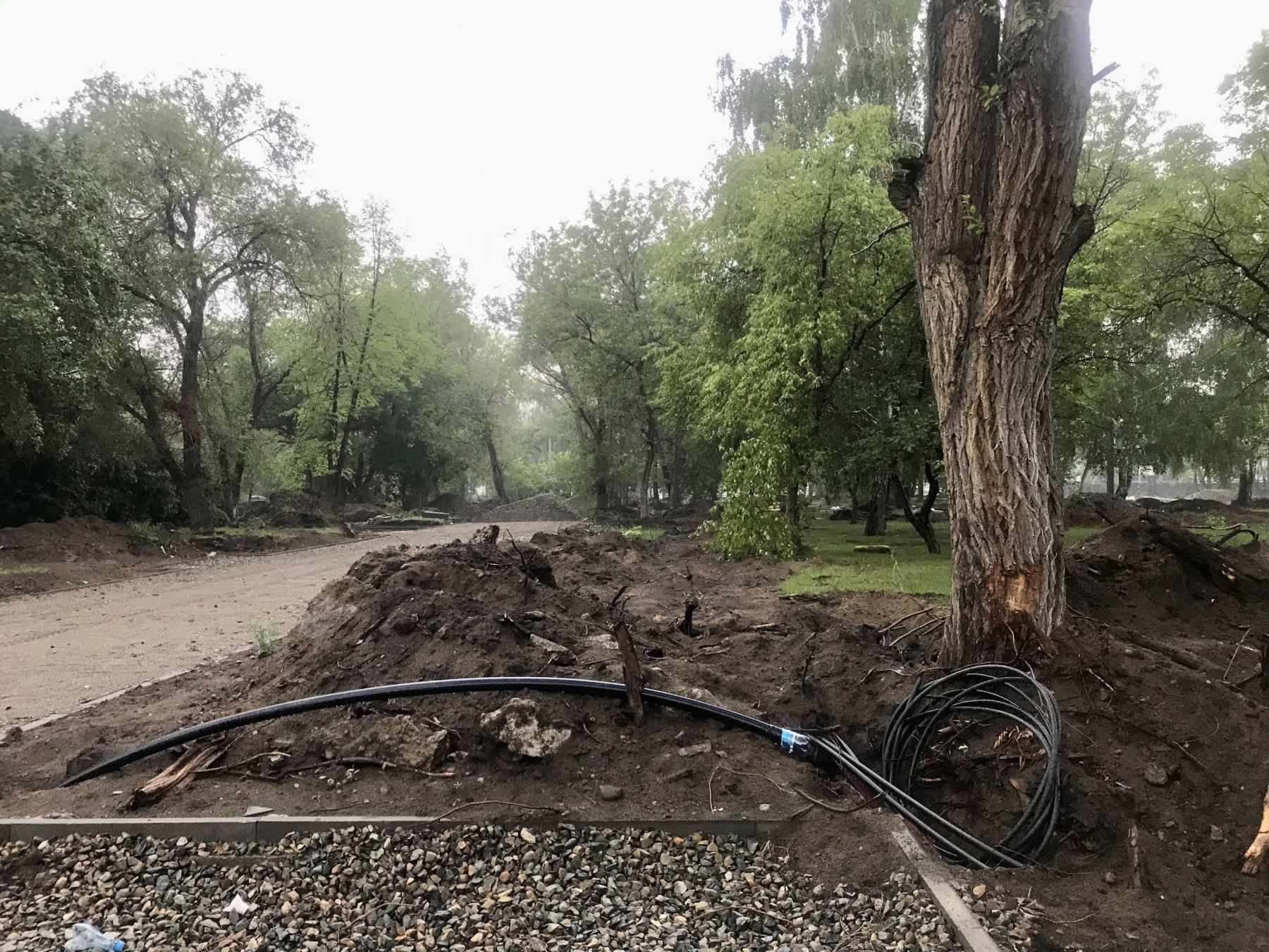 Благоустройство бульвара за Городским Дворцом в Бийске