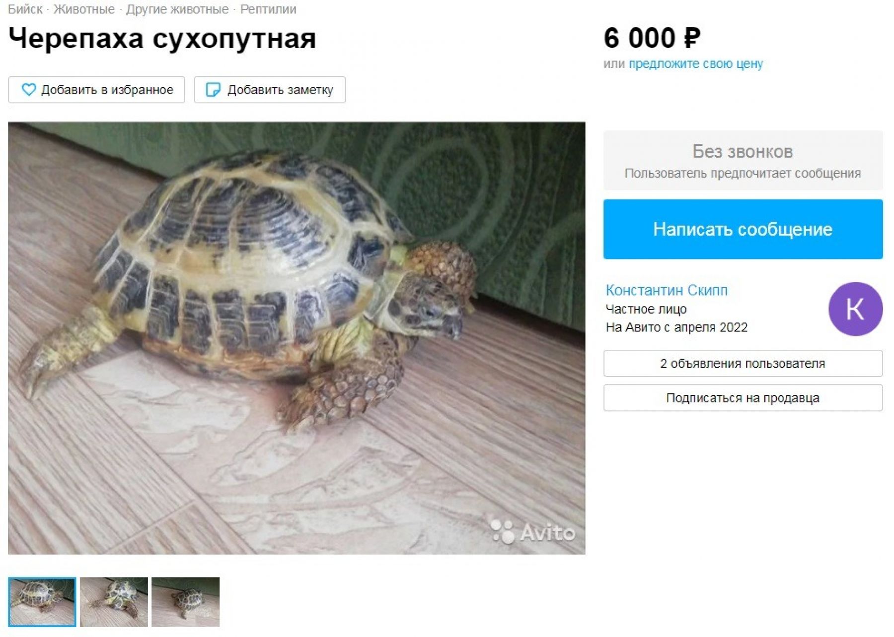 Продажа животных в Бийске