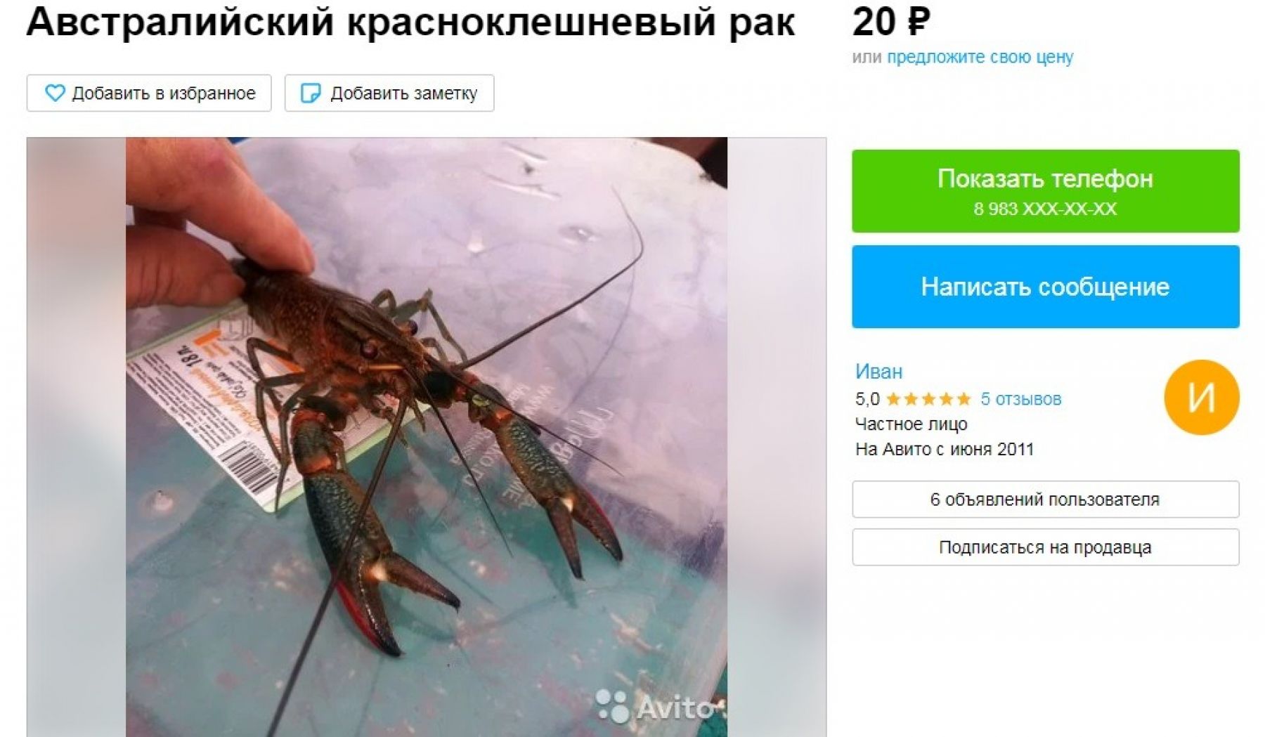 Продажа животных в Бийске