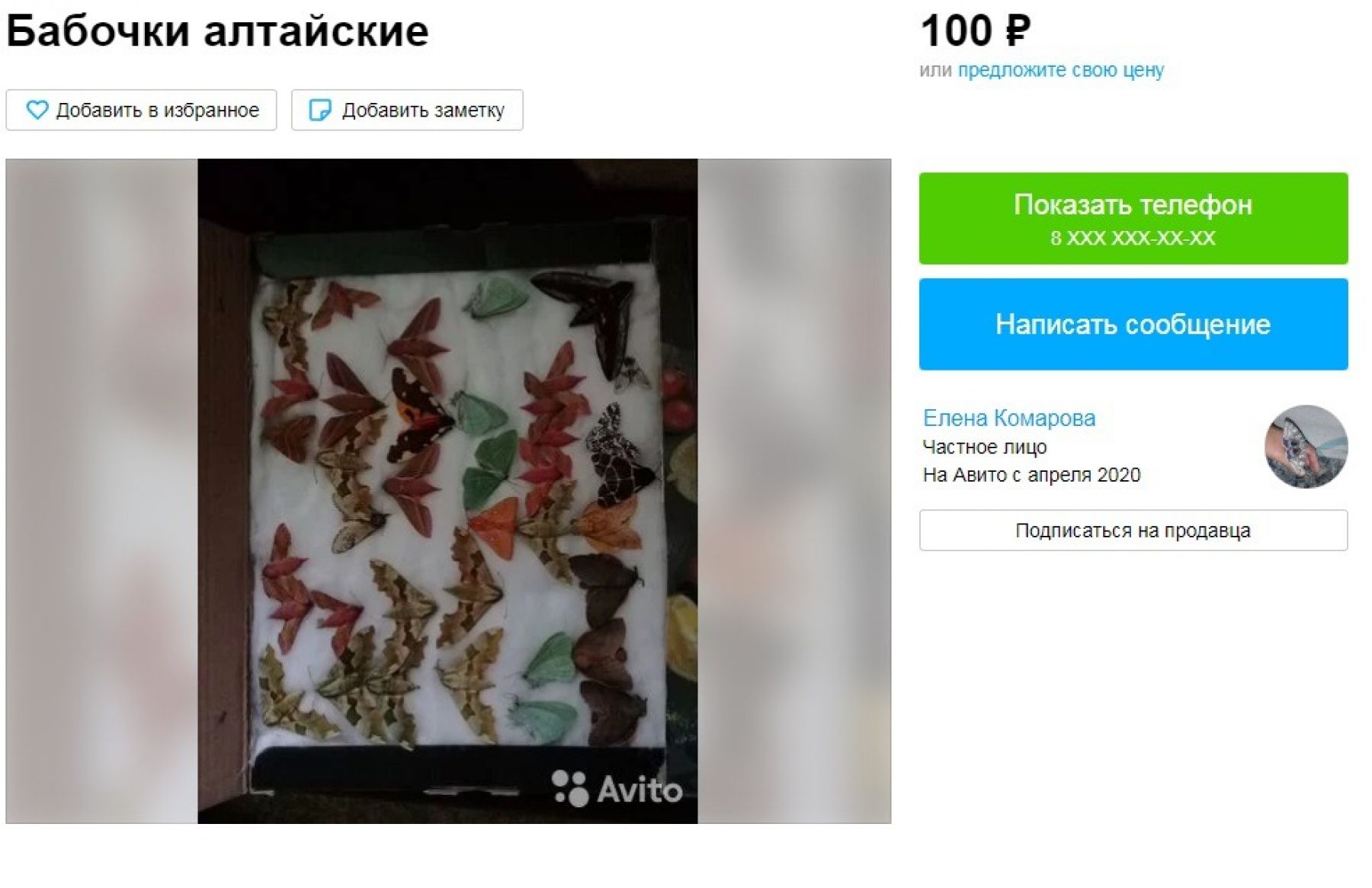 Продажа животных в Бийске