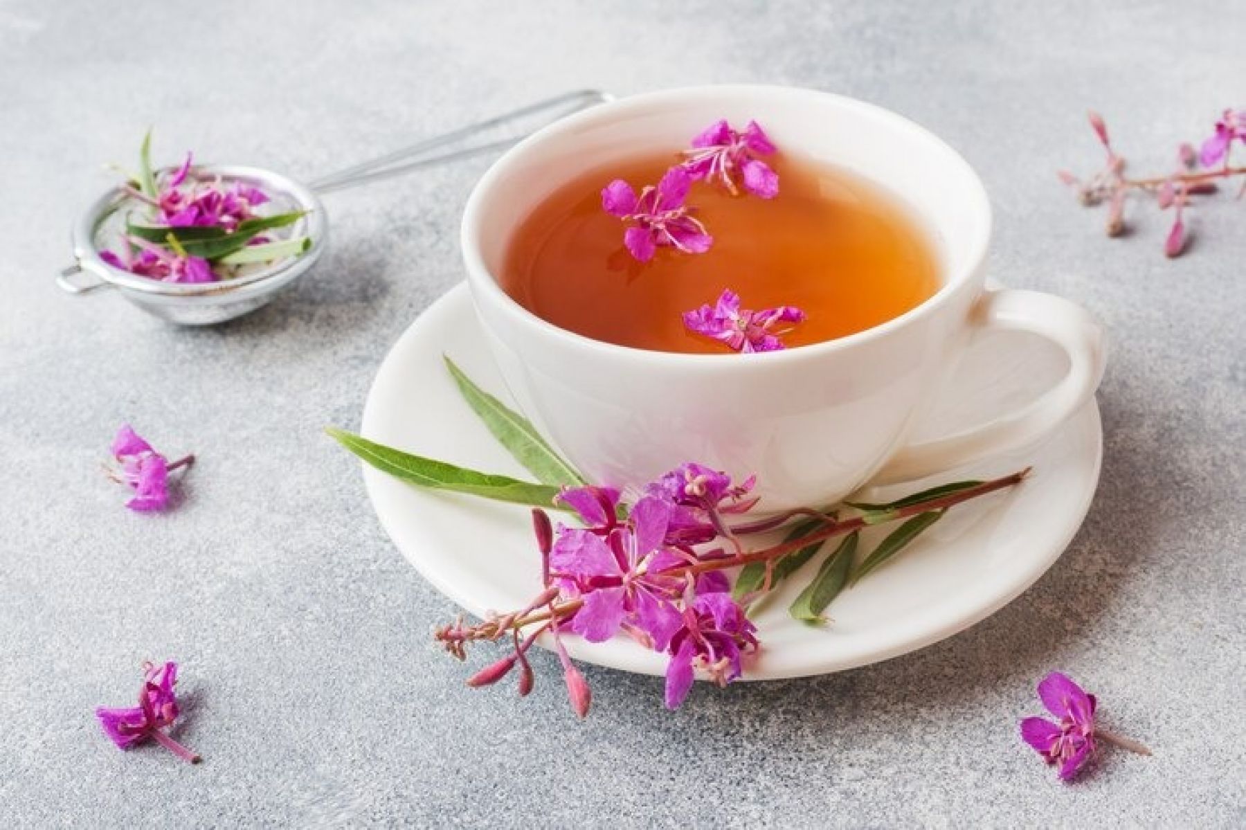 Иван-чай. Травяной чай