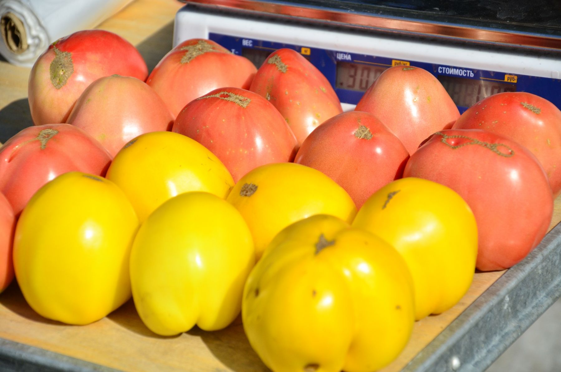 Базар. Овощи. Фрукты.