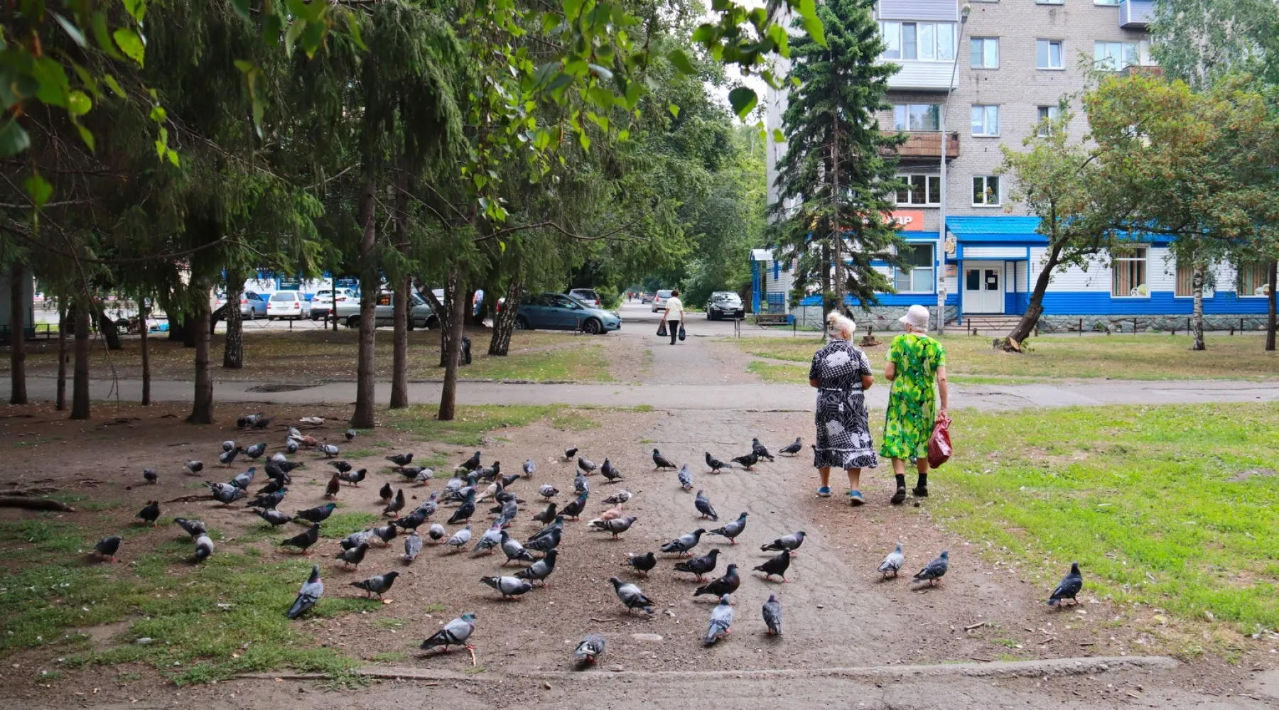 Пожилые люди