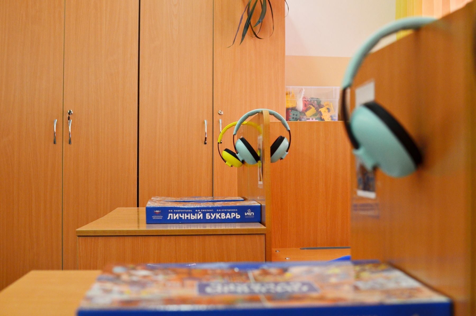 Для домашнего обучения скорее важны медицинские, а не психологические причины