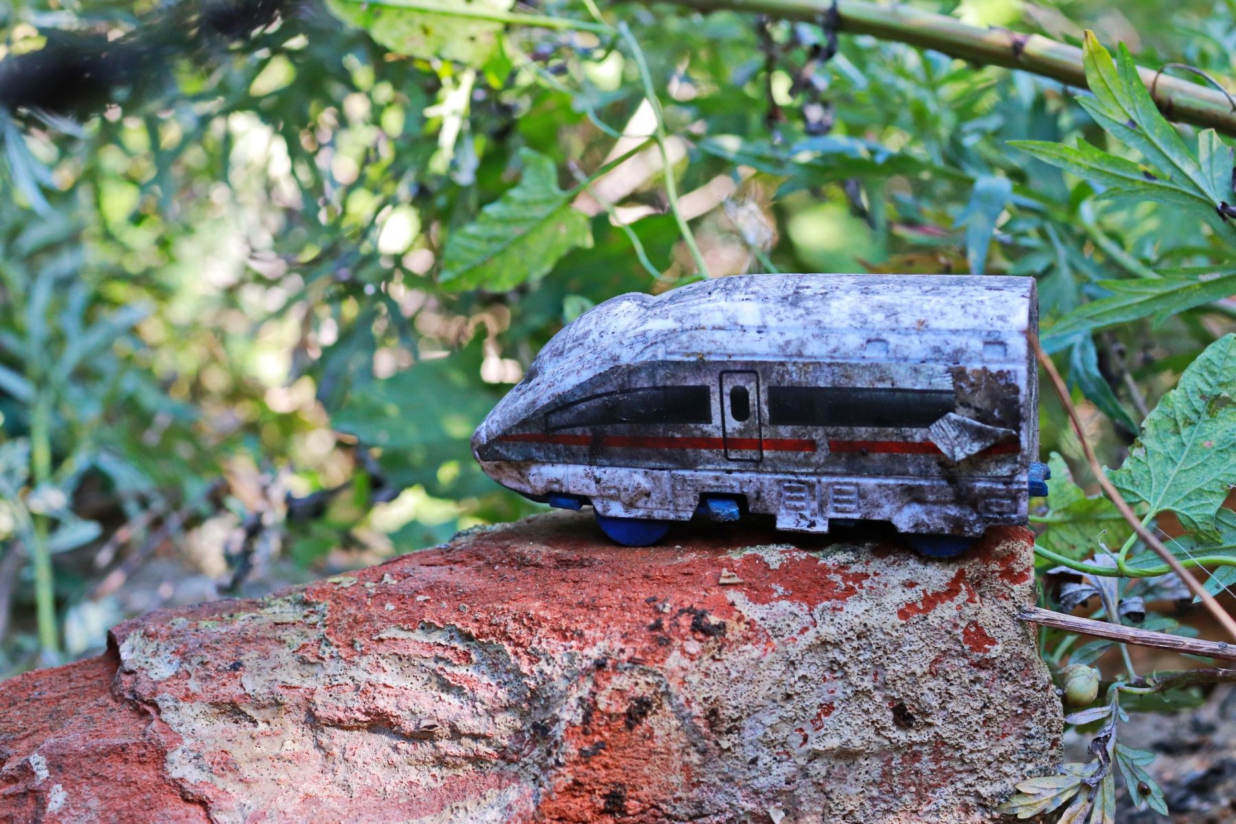 Бийчанка платит налоги за дом, которого нет