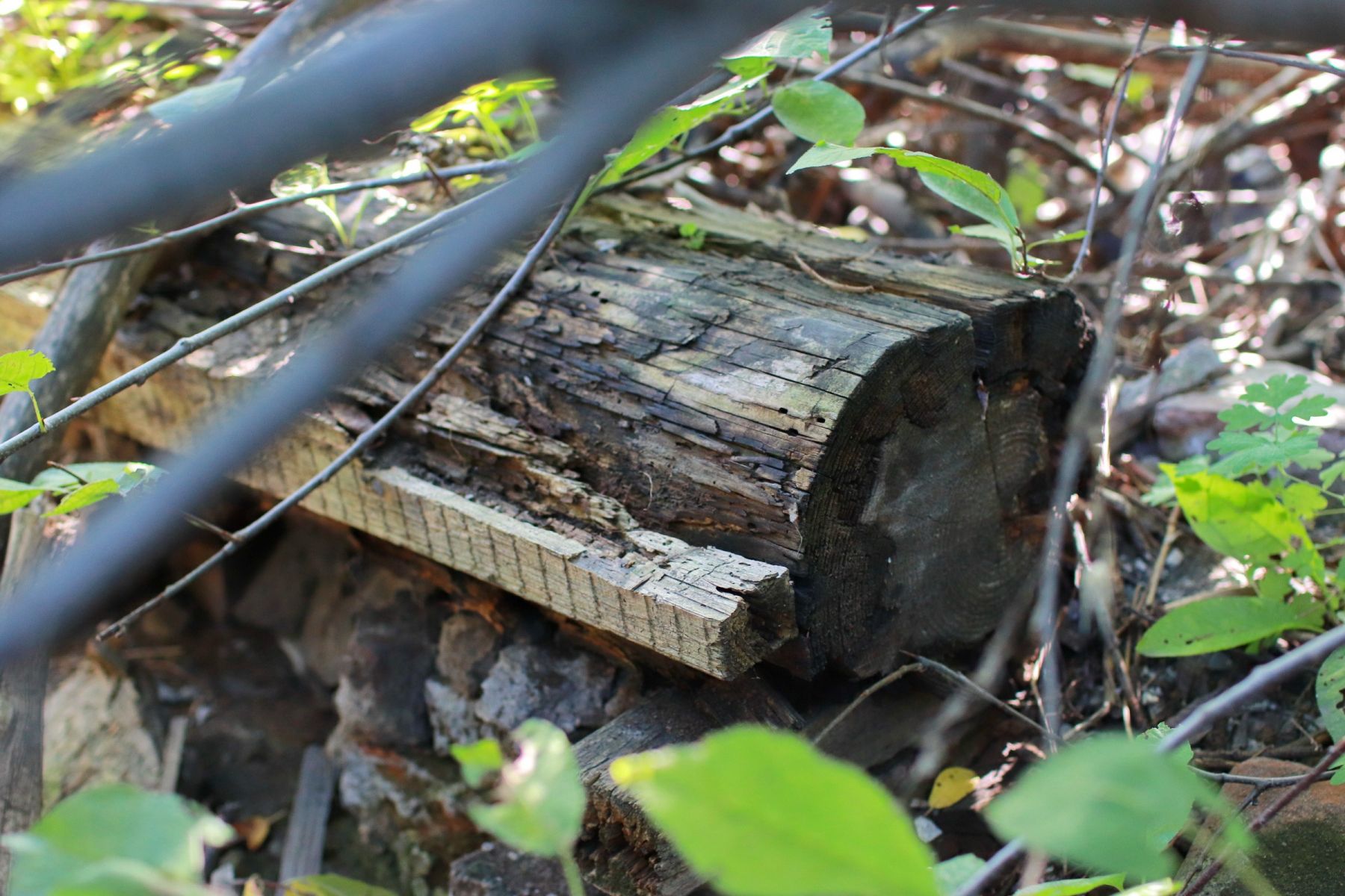 Бийчанка платит налоги за дом, которого нет