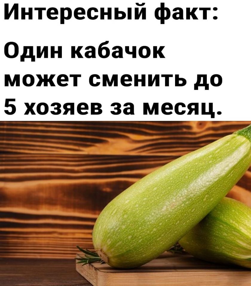 Кабачки надо? Жители Алтайского края не знают, куда деваться от урожая