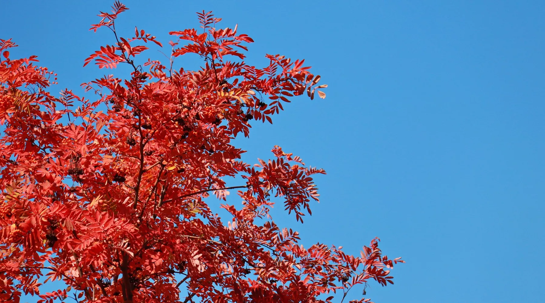Город. Люди. Осень.