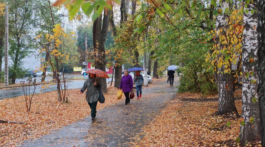 Дождь, осень, зонтики, квартал АБ