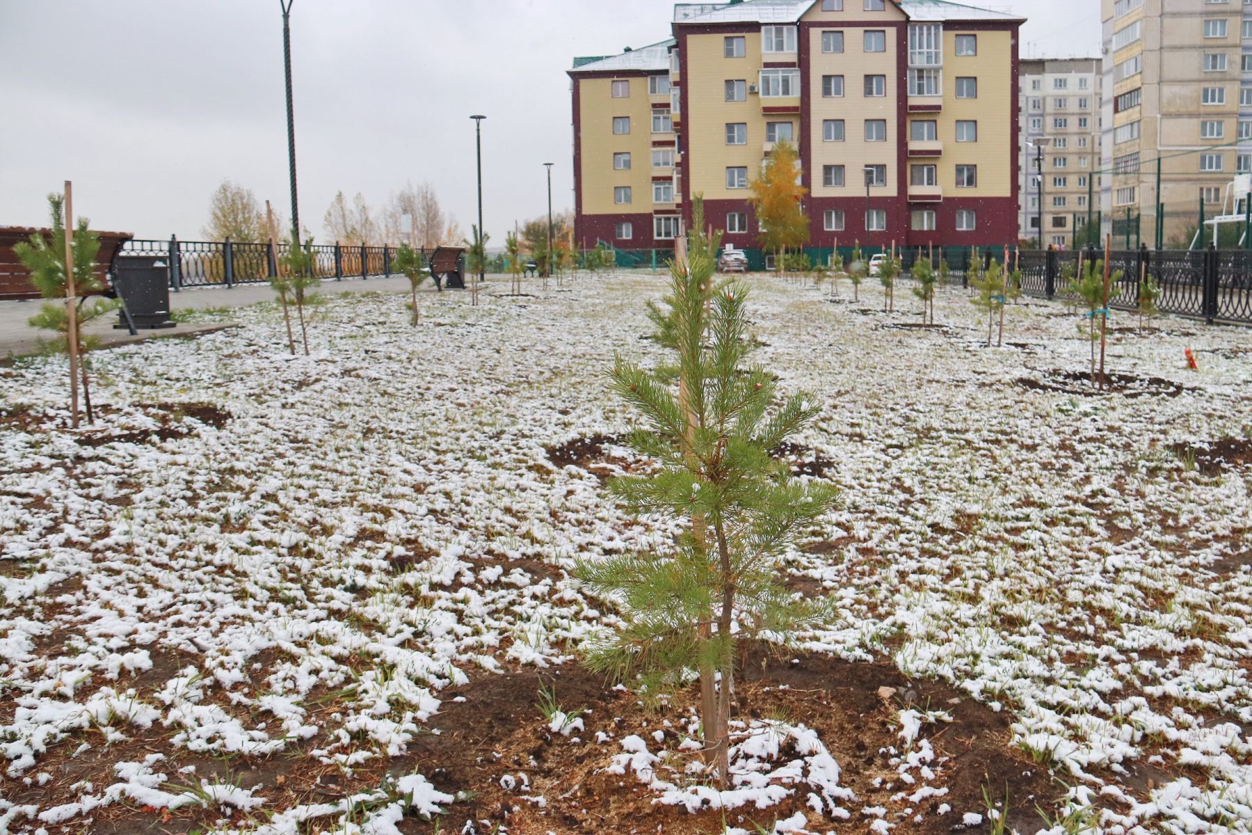 Парк на Зеленом Клине.