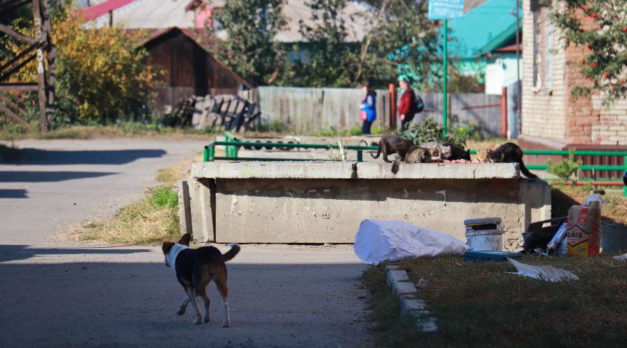 Белгородского полка 69 военкомат на карте