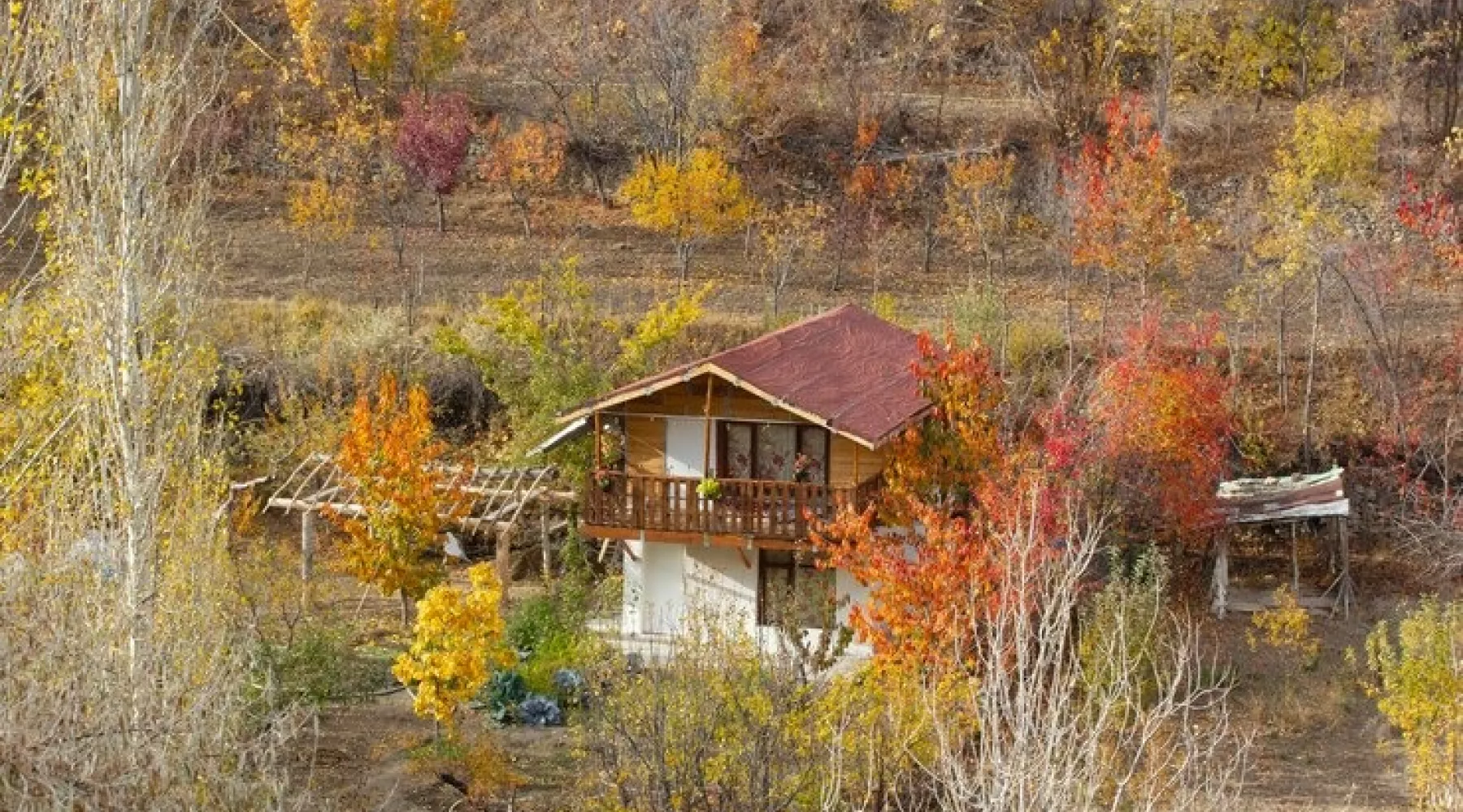 Дача. Осень, Дачный домик