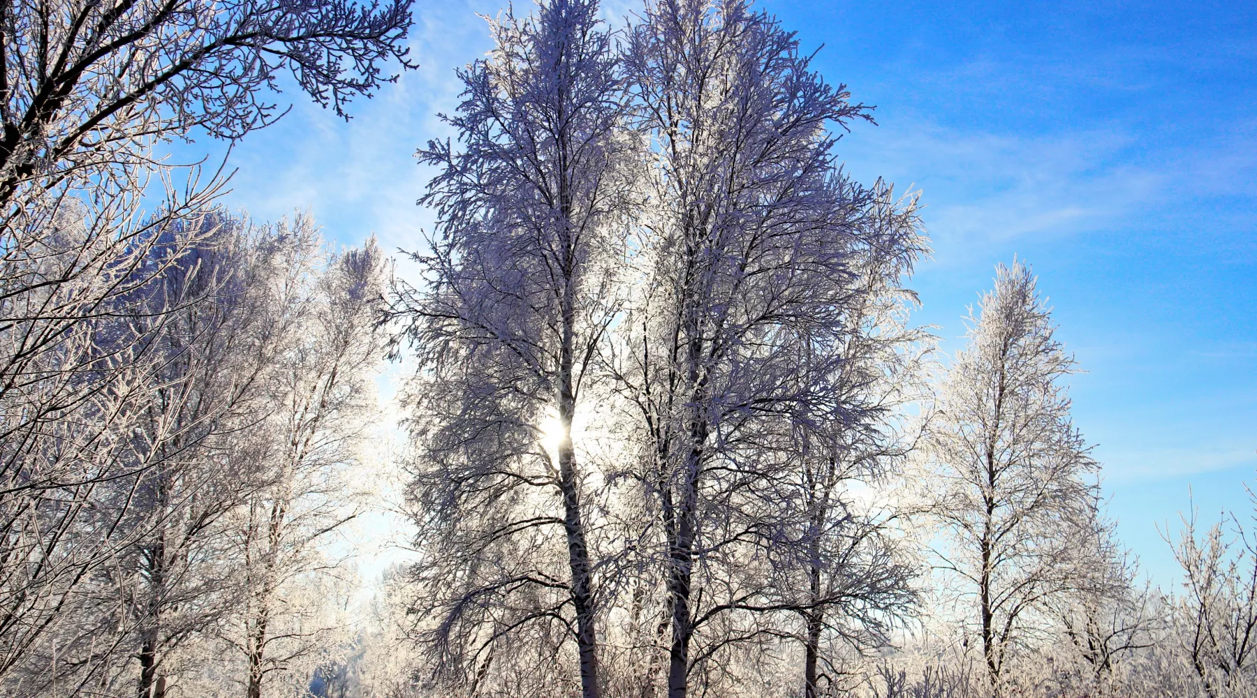 Зима, иней, погода, снег