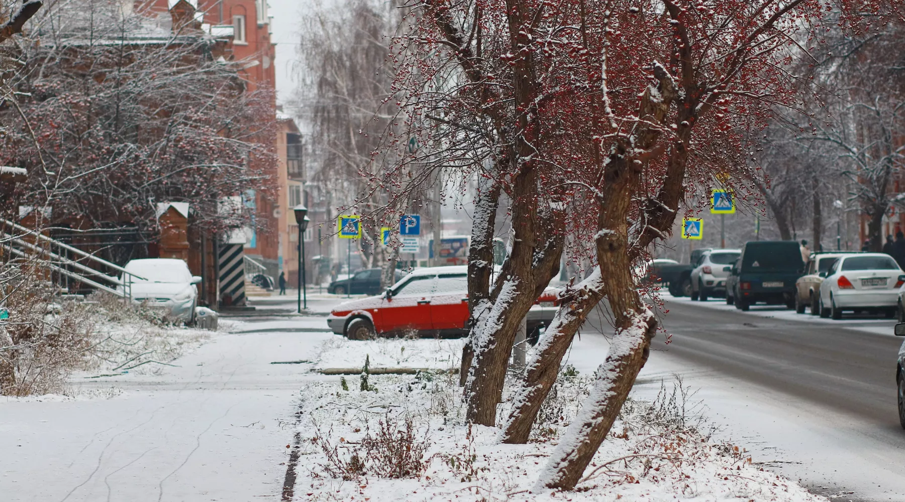 снегопад, первый снег, снежный покров