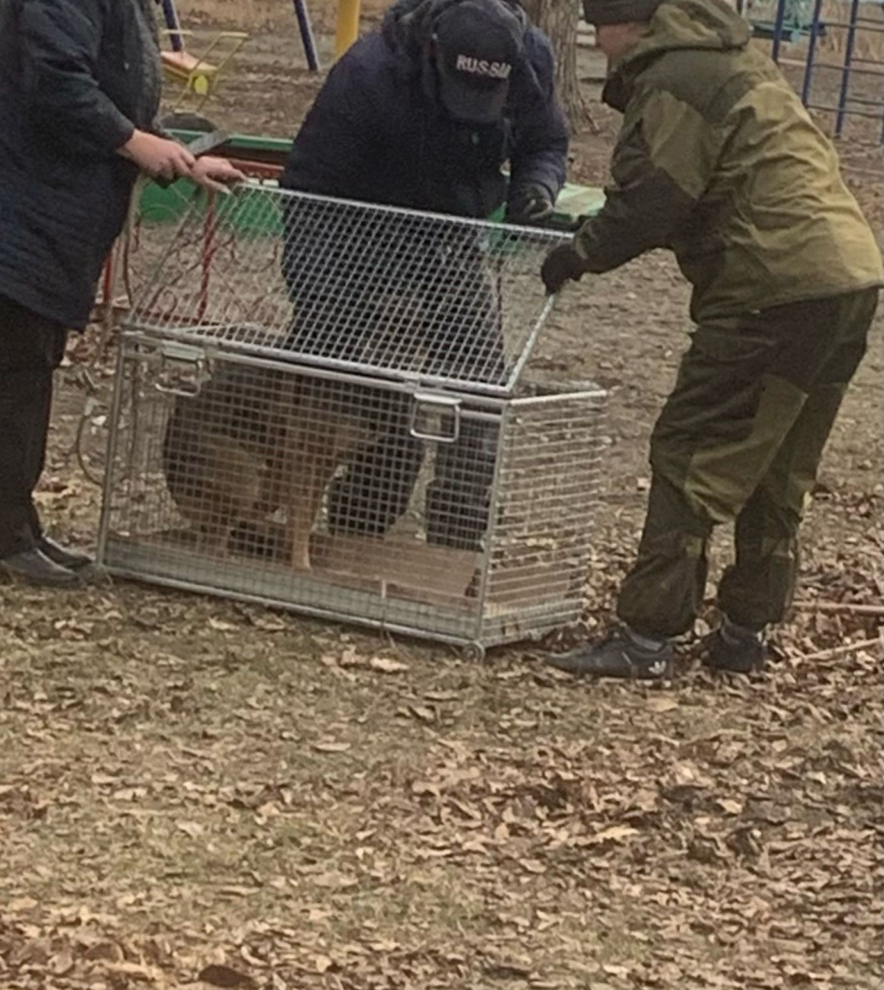 Приезд сотрудников приюта 