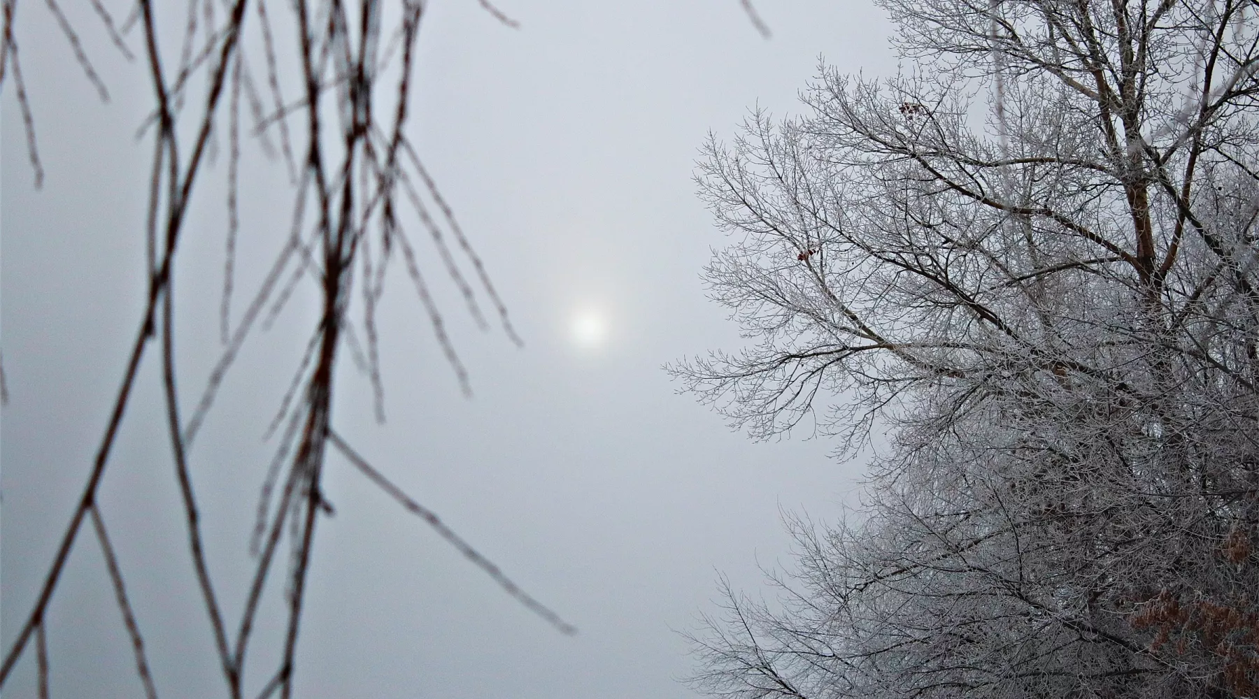 Лед на Бии, ноябрь