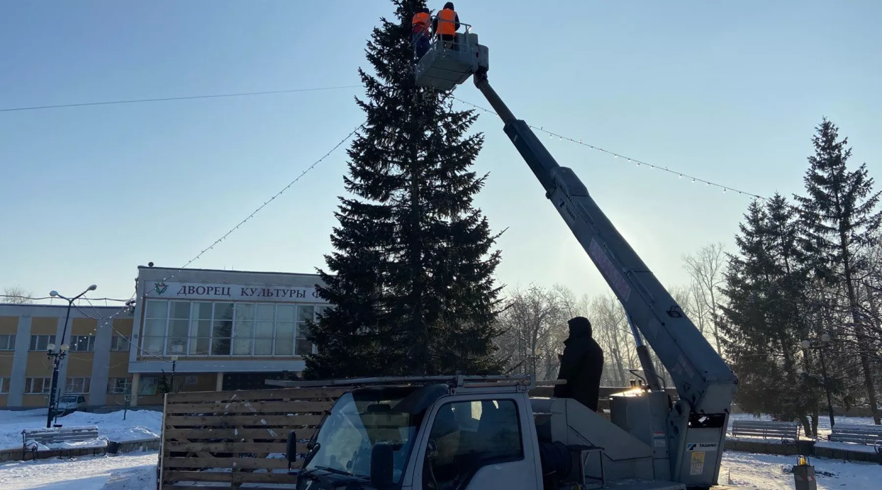 Установка елки у ДК БОЗ