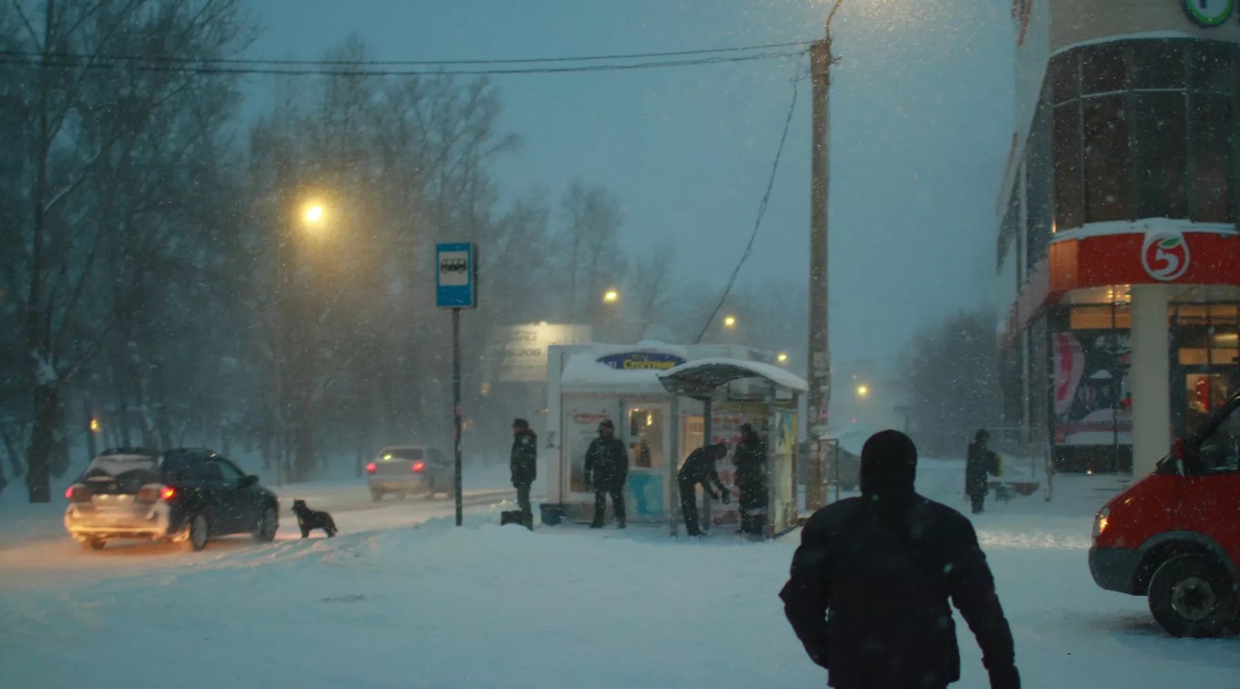 Снег. Метель. Дороги зимой.
