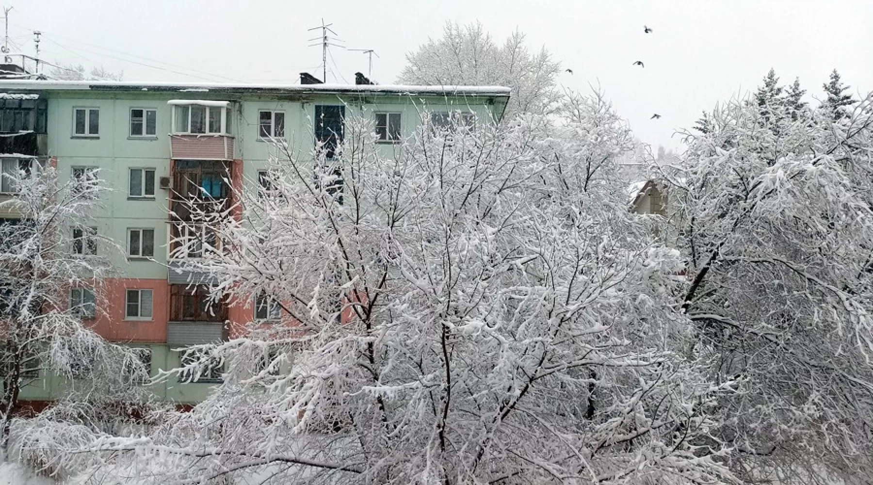 Бийск завалило снегом
