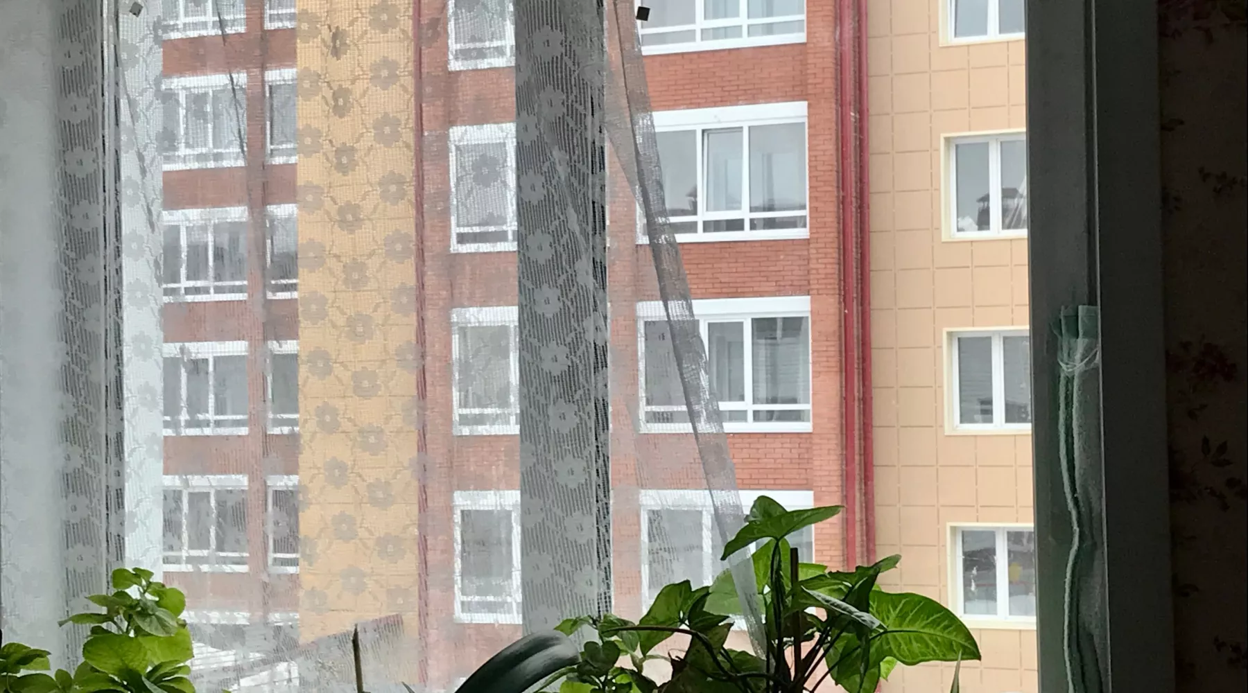 Дома на ул.Спекова в Бийске.