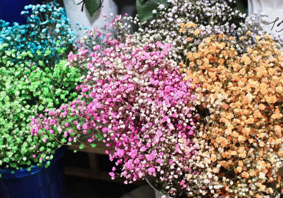 Цветочные магазины в Бийске