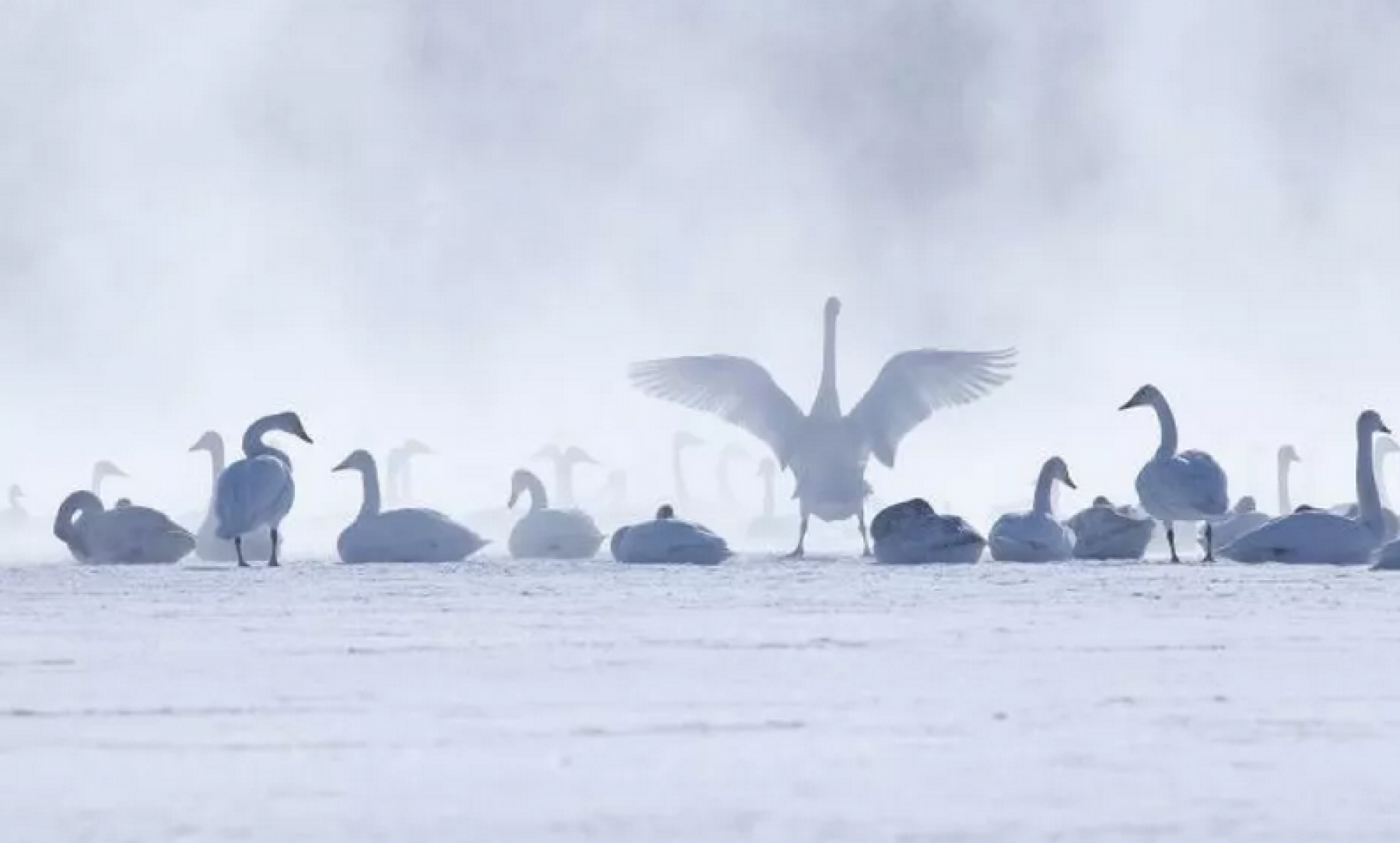 Озеро Светлое