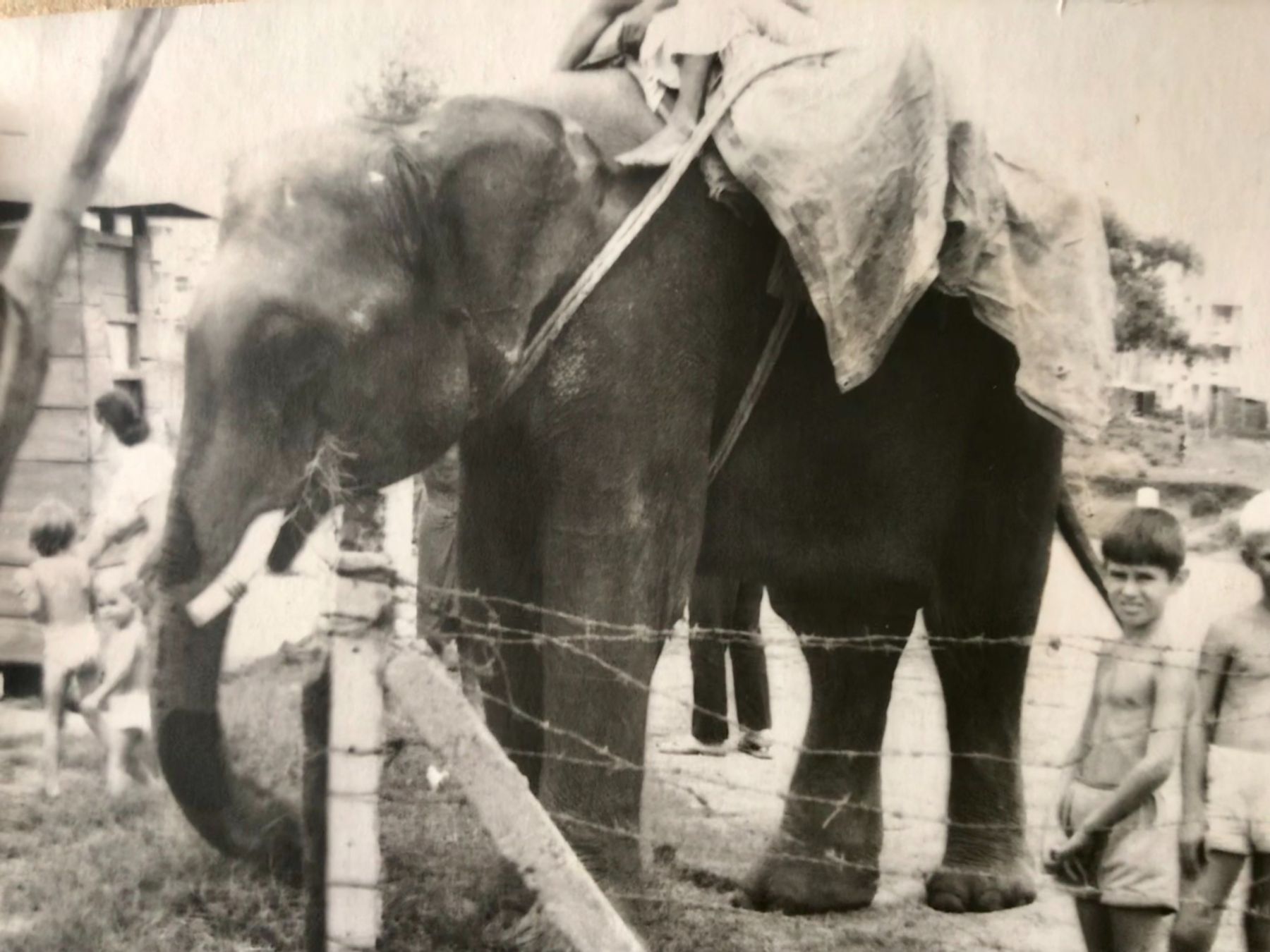 Индия. ГРЭС.