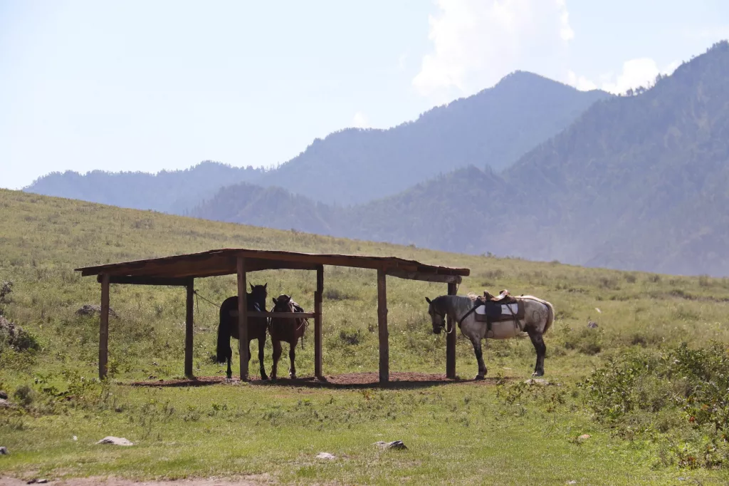 Горный Алтай рассматривают для размещения комплекса по исследованию космоса Горный Алтай рассматривают для размещения комплекса по исследованию космоса - Информационный портал "Бийский рабочий", 14.03.2026