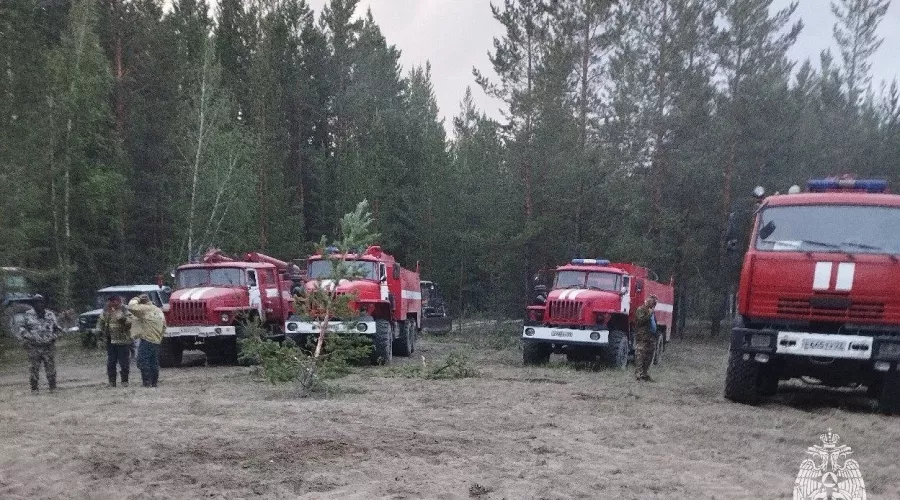 Лесной пожар. Егорьевский район. МЧС