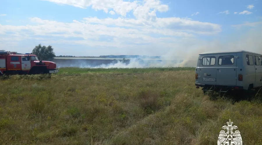 Пожар на Завьяловских озерах