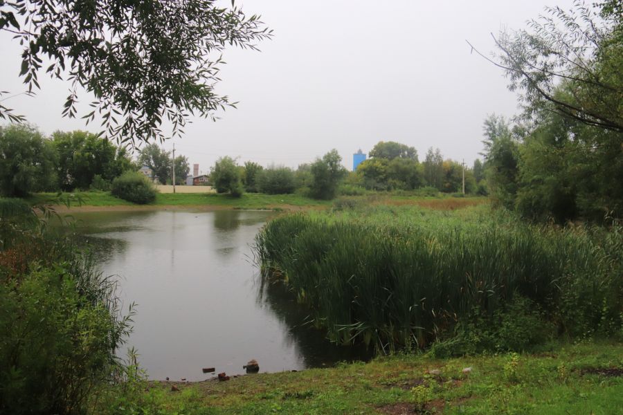 Озеро Ковалевское. Август.
