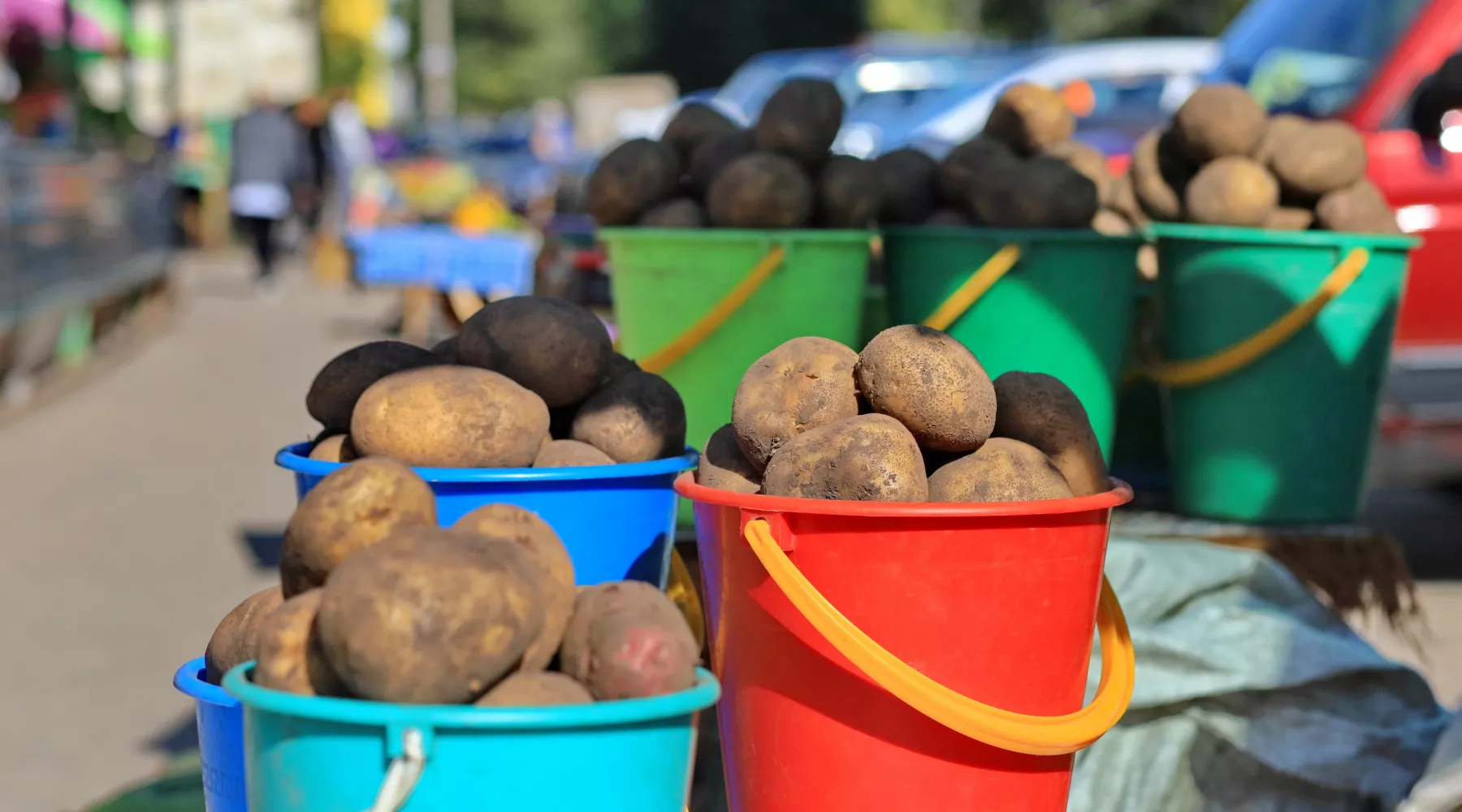 Овощные рынки в Бийске. Картошка.