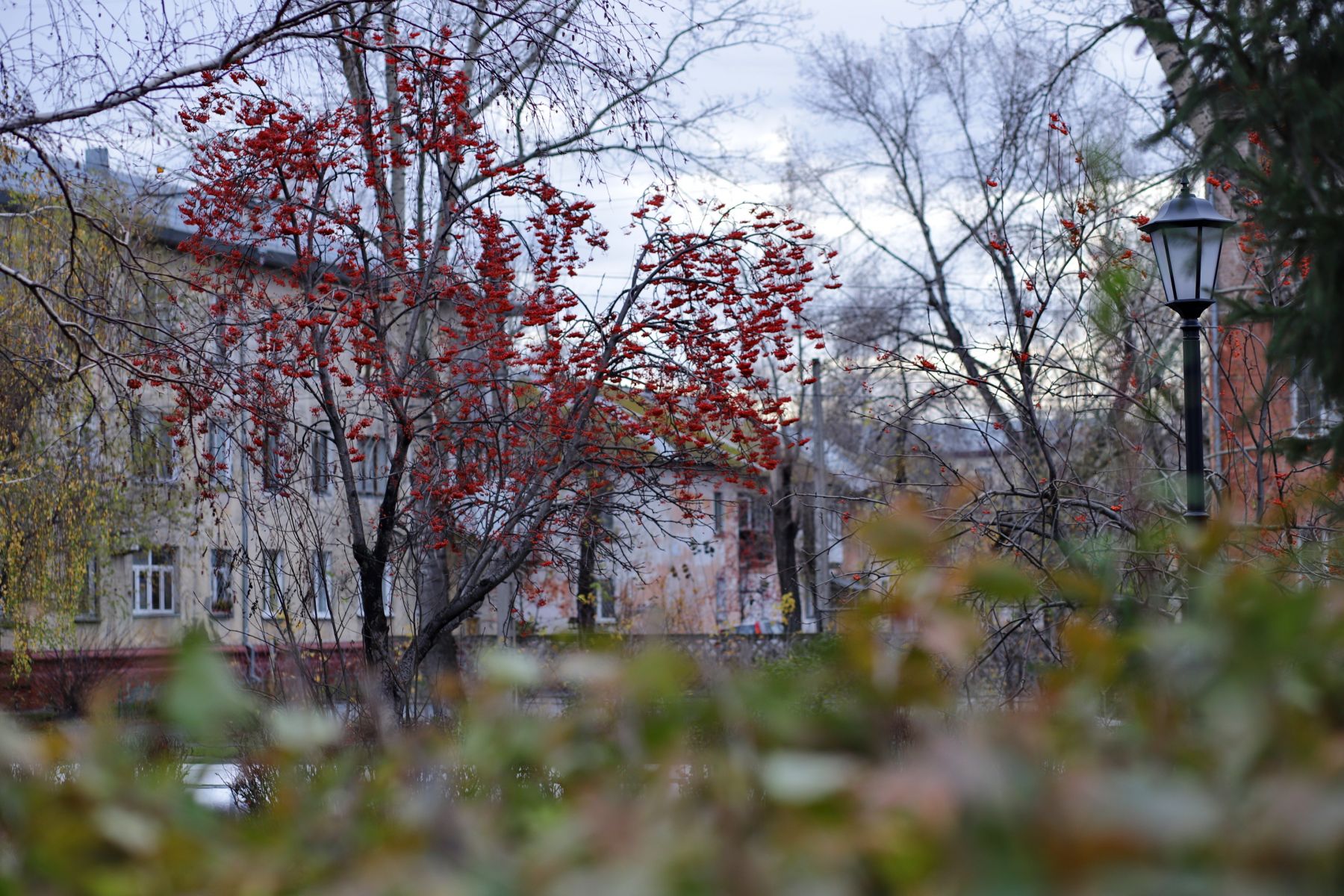 Сквер Ленинградский. 