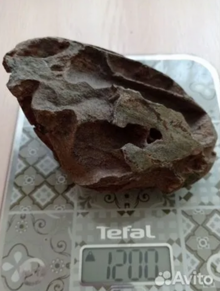 Метеорит, продаваемый в Бийске.