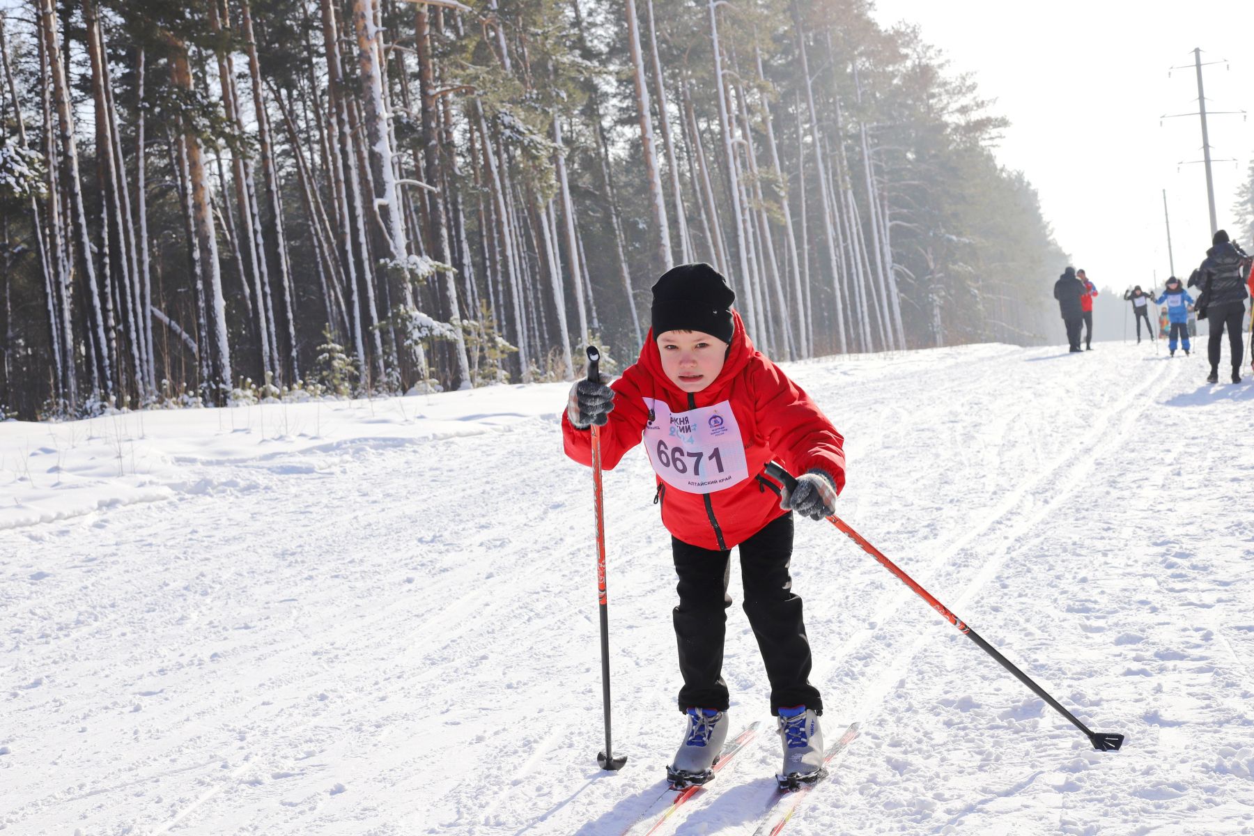Лыжня России - 2024