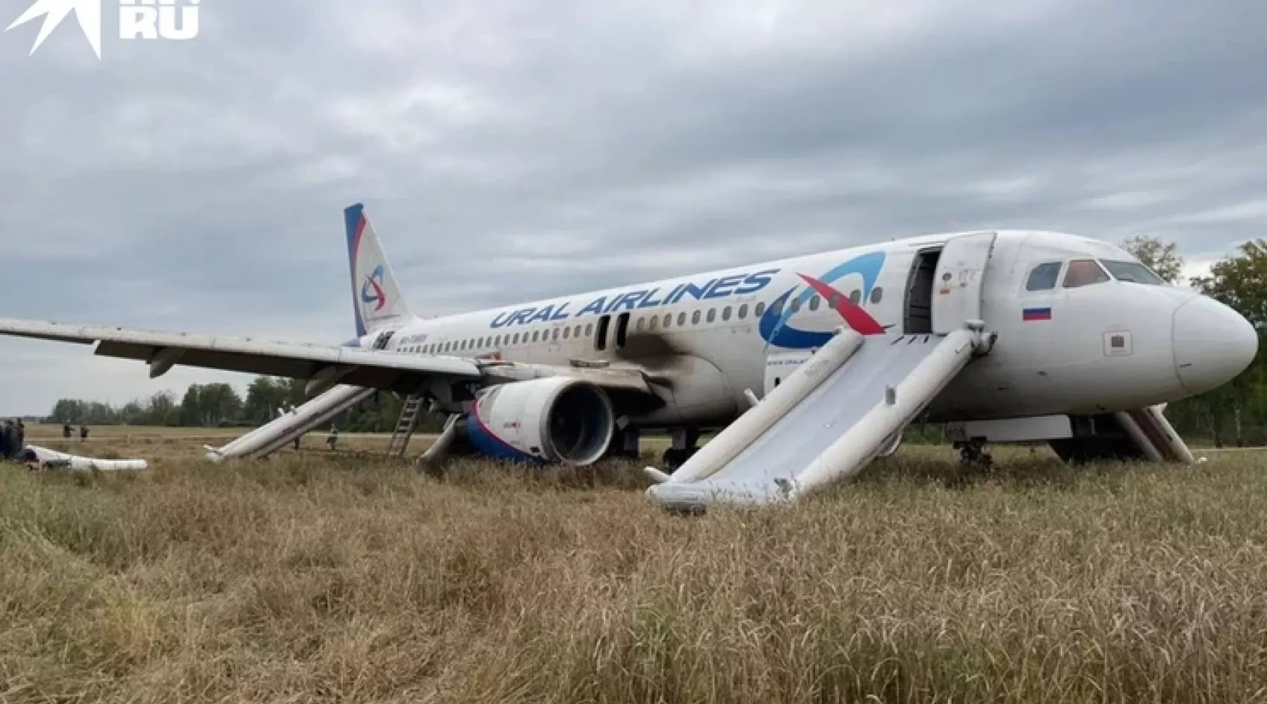 Знаменитый «Аэробус» севший в поле под Новосибирском.