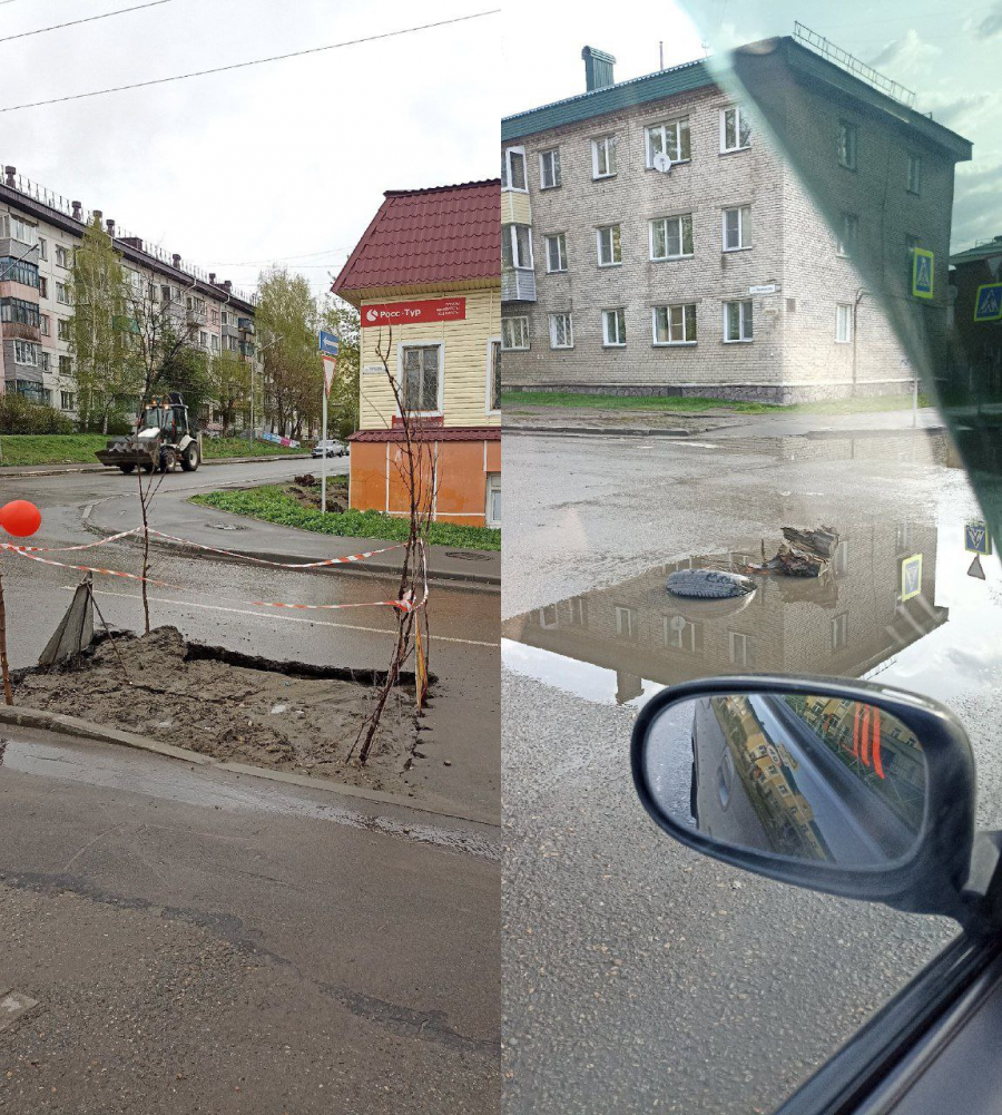 В Бийске на ул. Ударной прижилось дерево, вставленное в провал на дороге