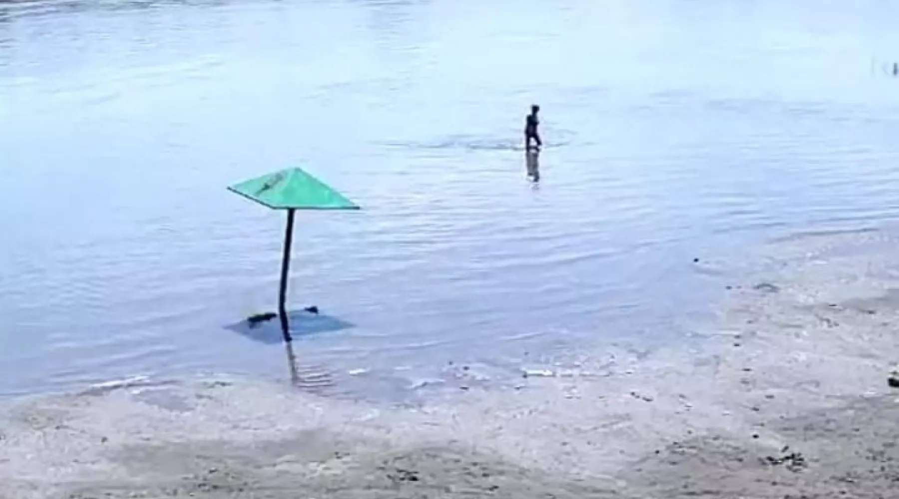Бийчане, несмотря на разлившуюся реку, открывают купальный сезон