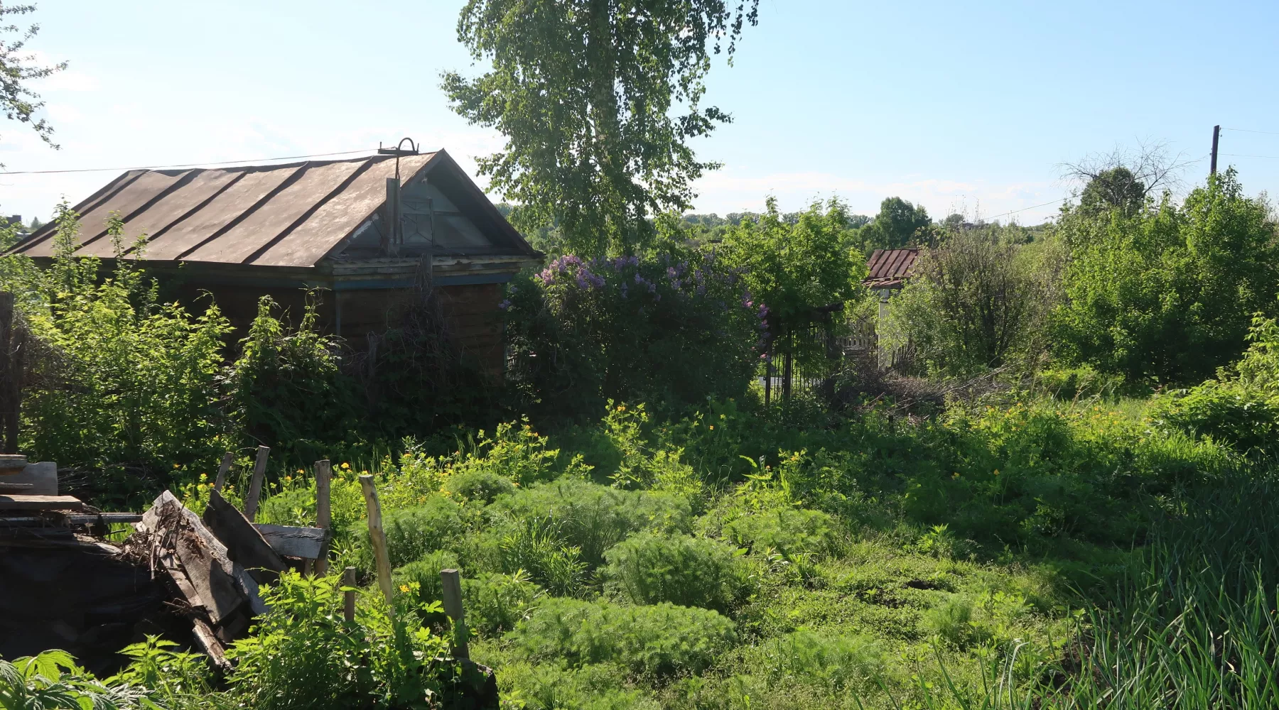 Садоводство. Дача.