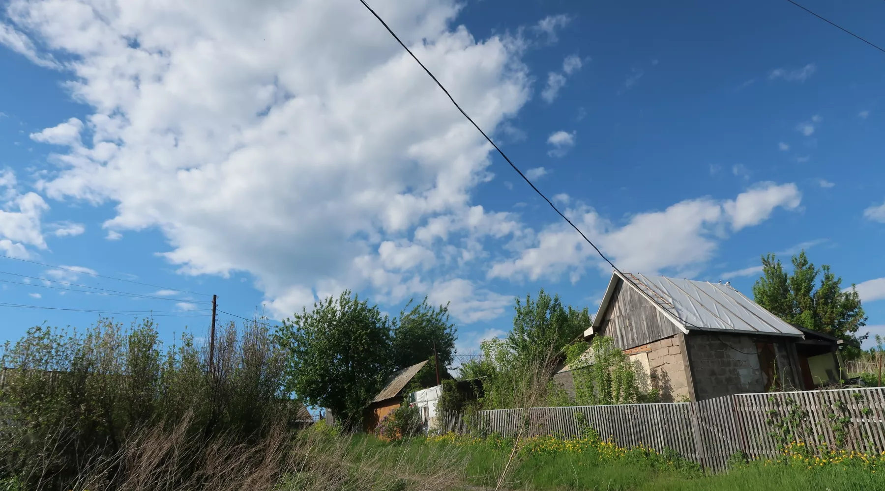 Садоводство. Дача.