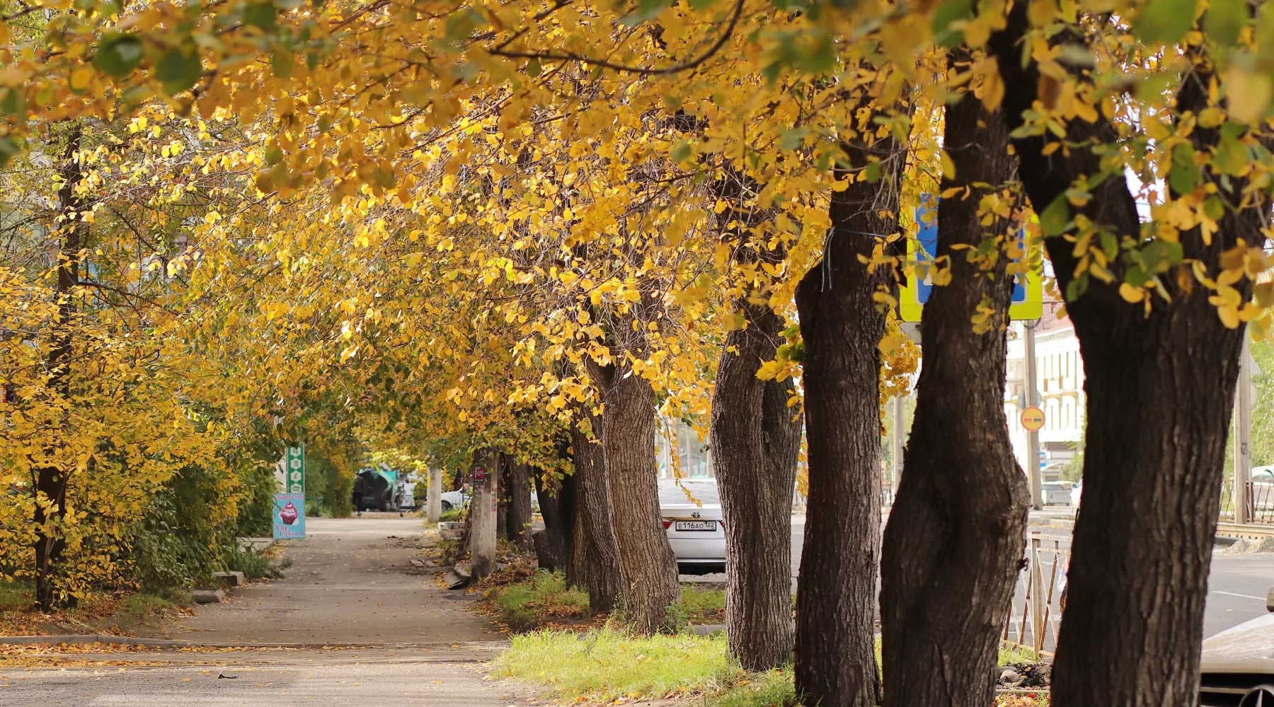 Осень. Люди. Город. 