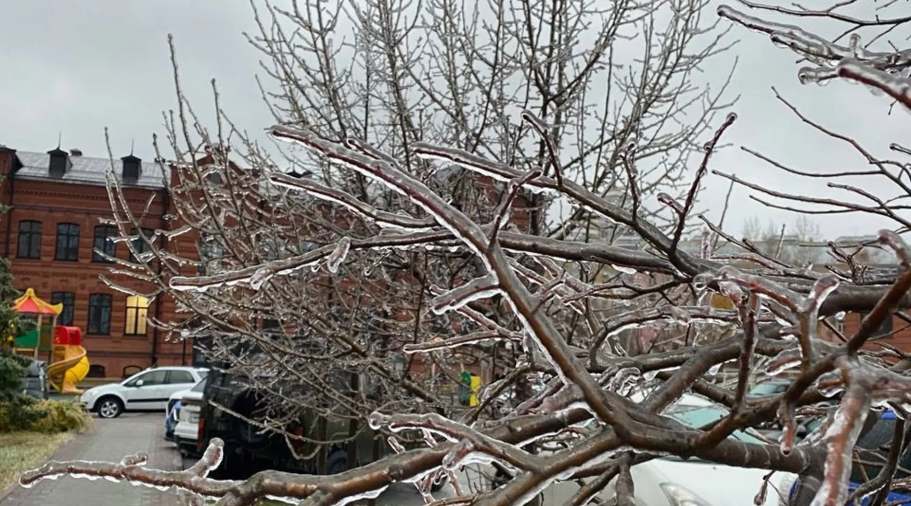 Обледеневший Барнаул 